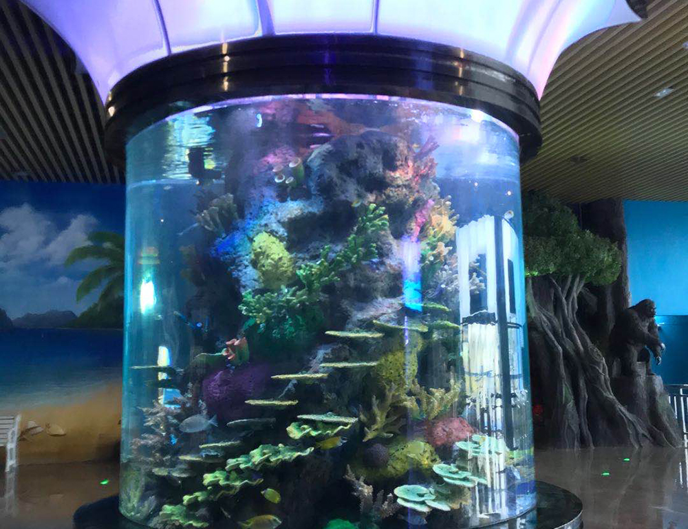 温州极地海洋世界