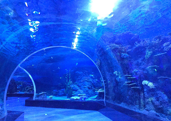 温州极地海底隧道