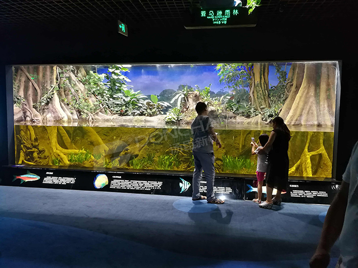 亚克力海洋馆视窗 (10)