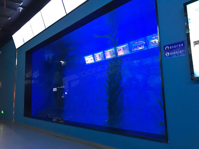 亚克力海洋馆视窗 (33)